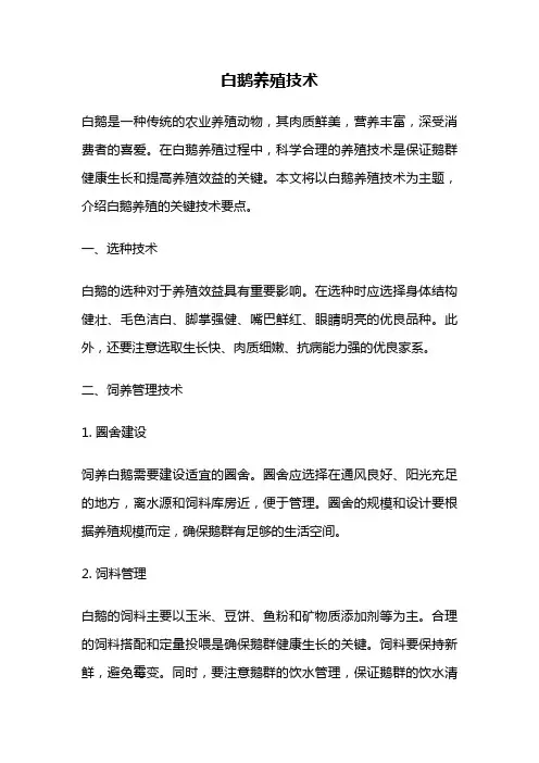 白鹅养殖技术