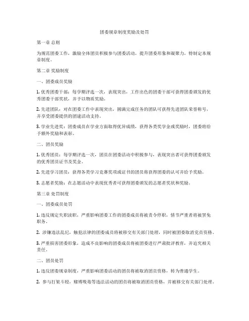 团委规章制度奖励及处罚