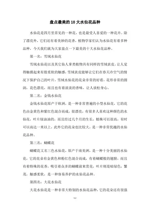 盘点最美的10大水仙花品种