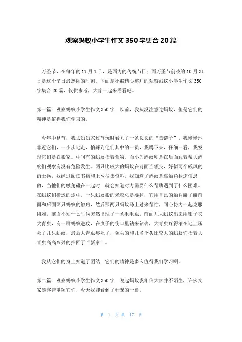 观察蚂蚁小学生作文350字集合20篇