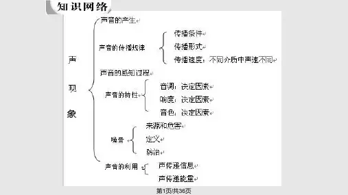 中考物理总复习专题声现象PPT课件