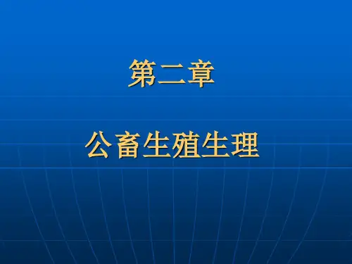公畜的生殖生理