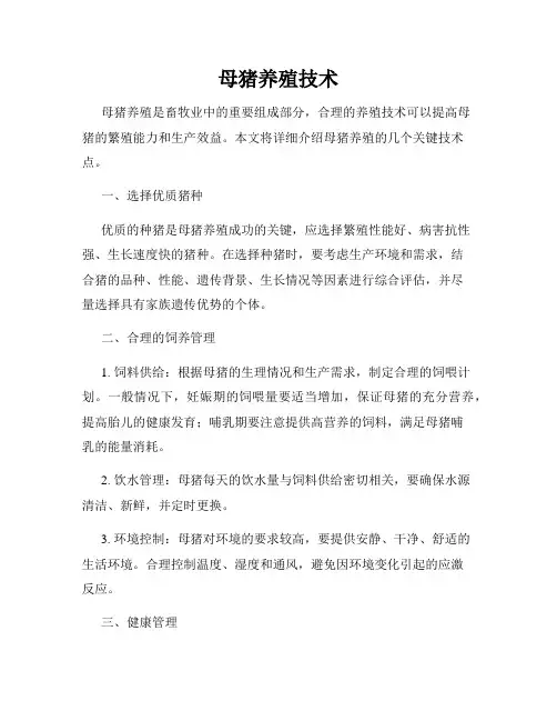 母猪养殖技术