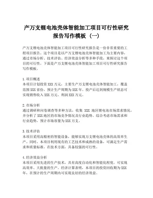 产万支锂电池壳体智能加工项目可行性研究报告写作模板 (一)