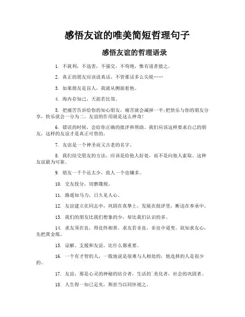 感悟友谊的唯美简短哲理句子
