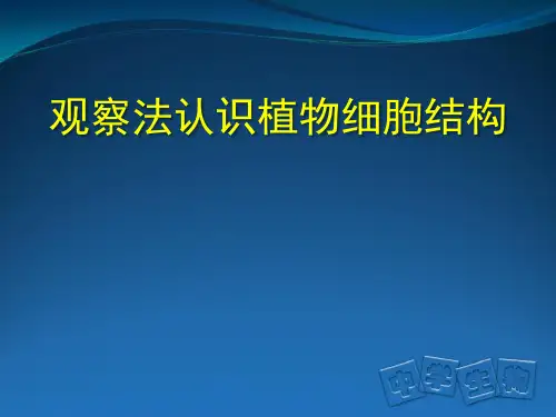 初中生物北京版七年级上册 第三章第一节 细胞 观察法认识植物细胞的结构 课件(共30张PPT)