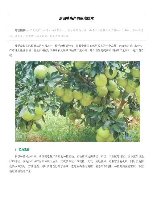 沙田柚高产的栽培技术