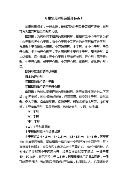 苹果常见树形及整形特点！