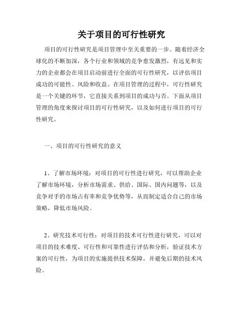 关于项目的可行性研究