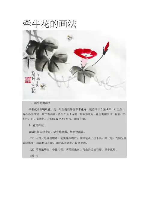 牵牛花的画法