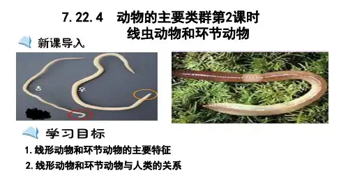 动物的主要类群(第2课时)(课件)-+2022-2023学年八年级生物下册同步精品课堂(北师大版)