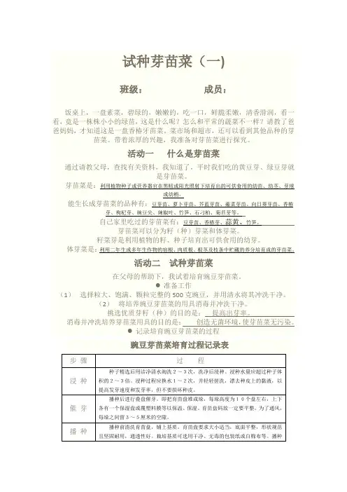 试种芽苗菜
