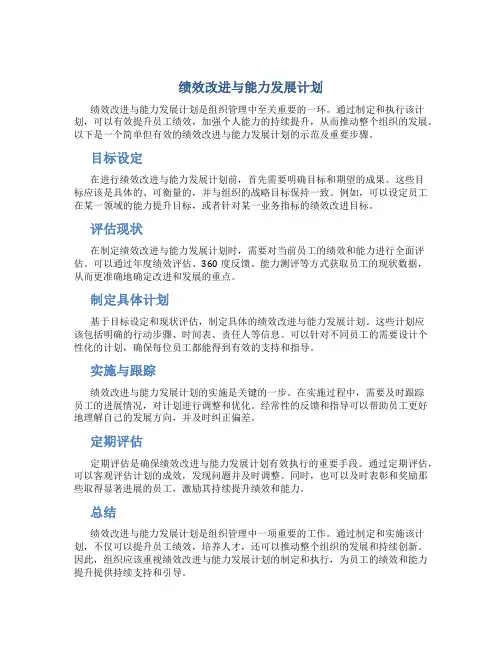 绩效改进与能力发展计划