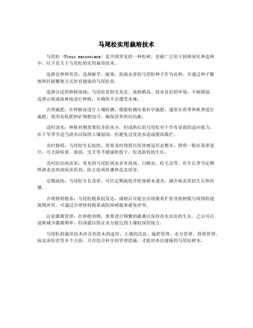 马尾松实用栽培技术