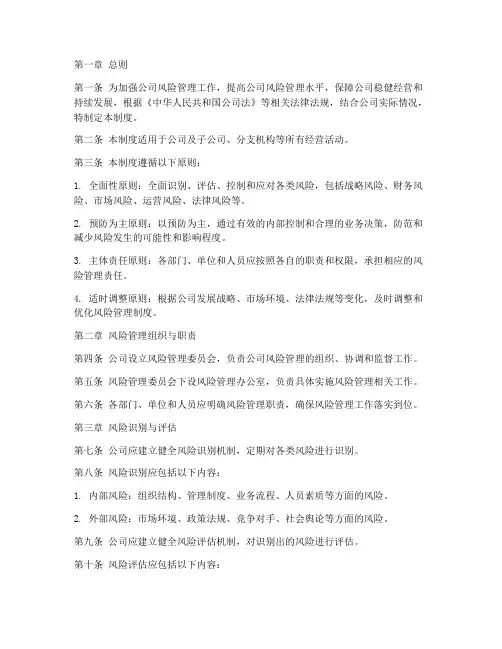 公司风险管理制度模板