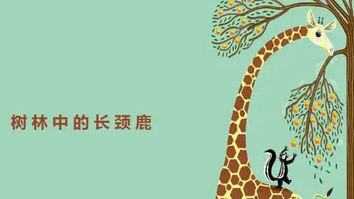 《树林中的长颈鹿》6至8岁手工PPT课件