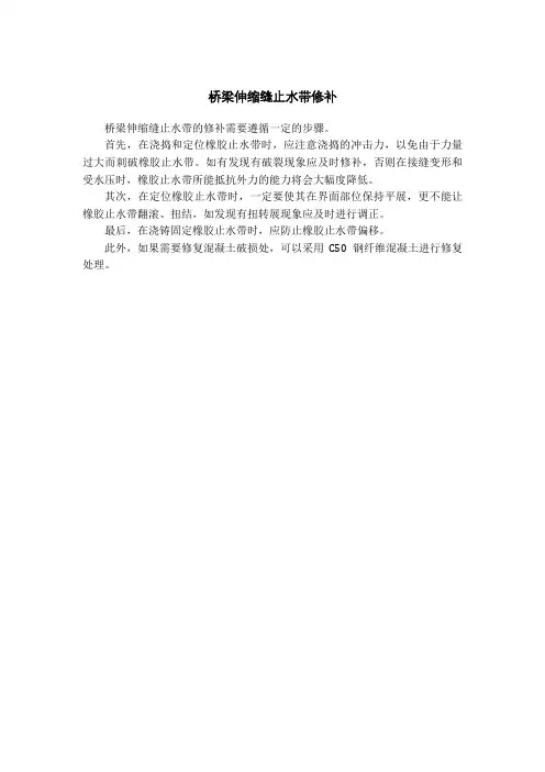 桥梁伸缩缝止水带修补