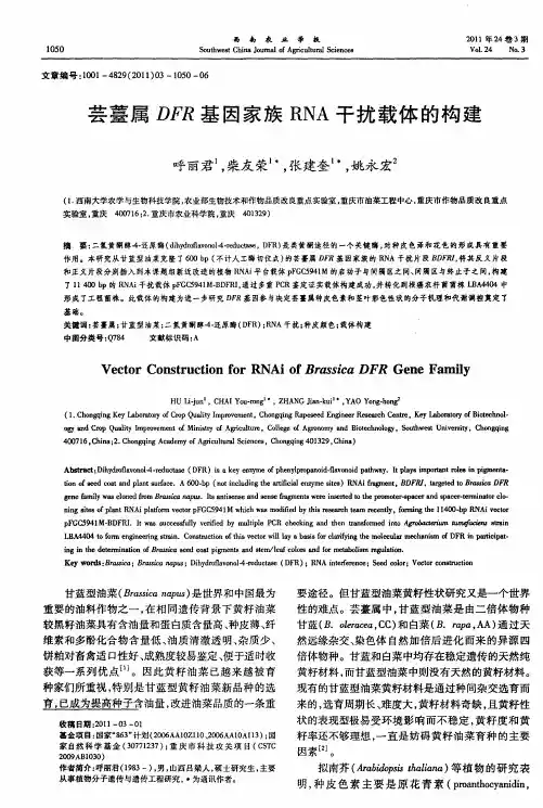 芸薹属DFR基因家族RNA干扰载体的构建