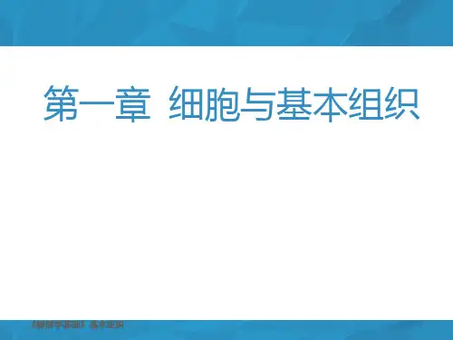 细胞与基本组织  ppt课件