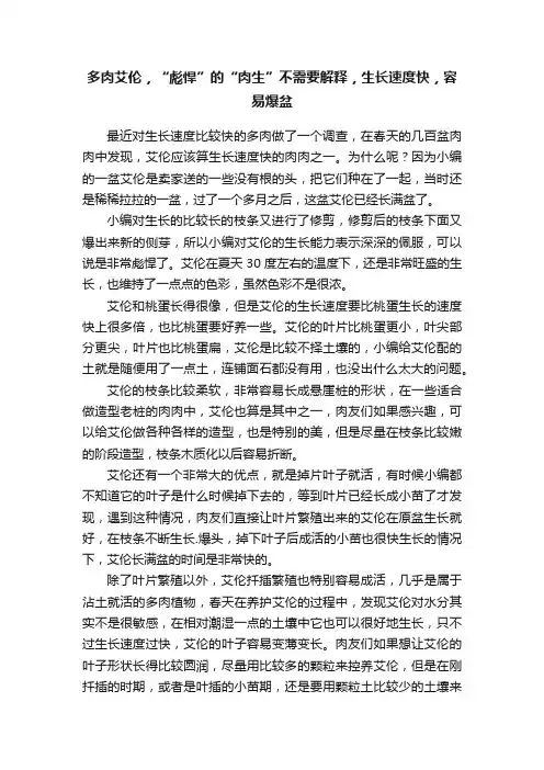 多肉艾伦，“彪悍”的“肉生”不需要解释，生长速度快，容易爆盆