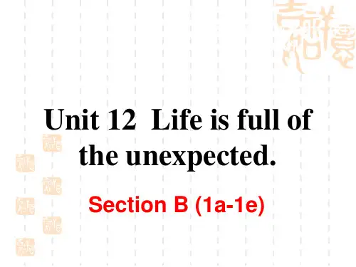 新目标九年级英语Unit12 Section B (1a-1e)课件