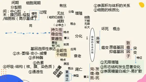 分子与细胞-思维导图