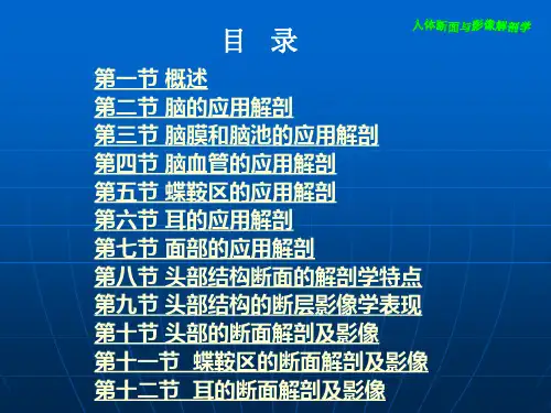 人体断面与影像解剖学-头部 PP课件