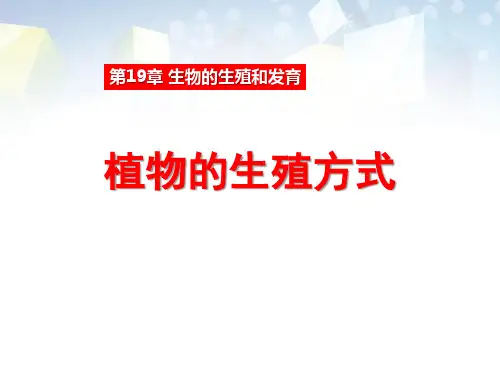 《植物的生殖方式》PPT 图文