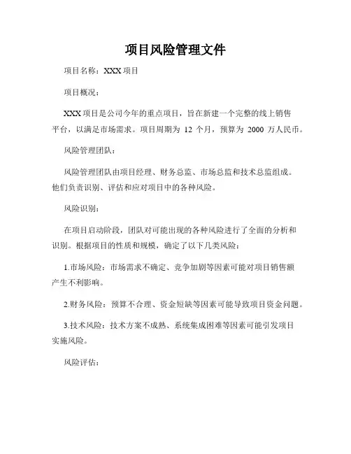 项目风险管理文件