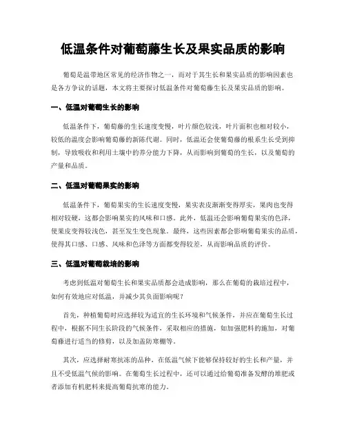 低温条件对葡萄藤生长及果实品质的影响