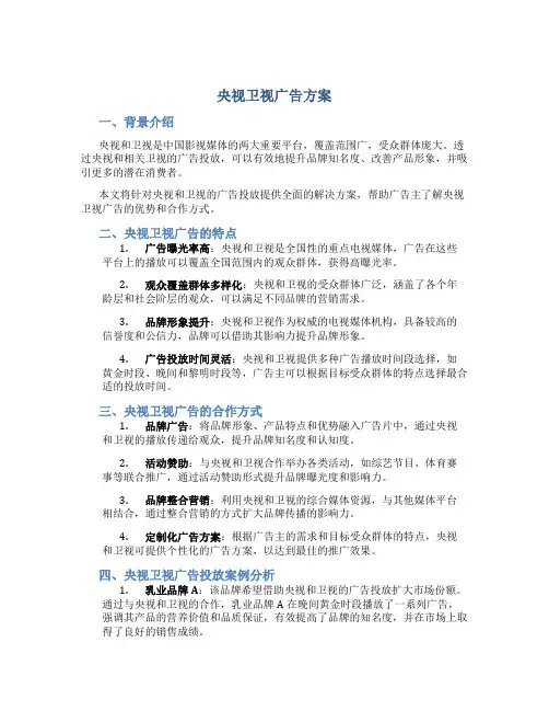 央视卫视广告方案