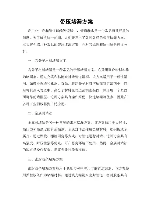 带压堵漏方案