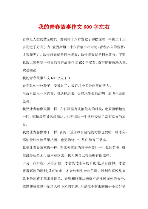 我的青春故事作文600字左右
