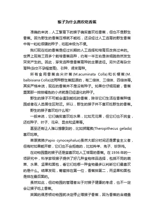 猴子为什么喜欢吃香蕉