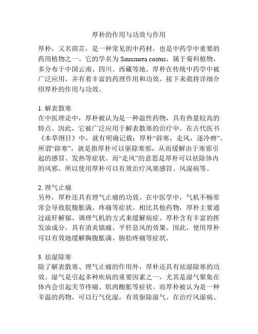 厚朴的作用与功效与作用