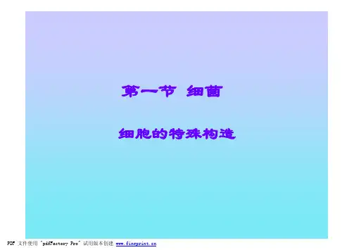 微生物课件(周德庆)第一章Part 3 细胞的特殊结构