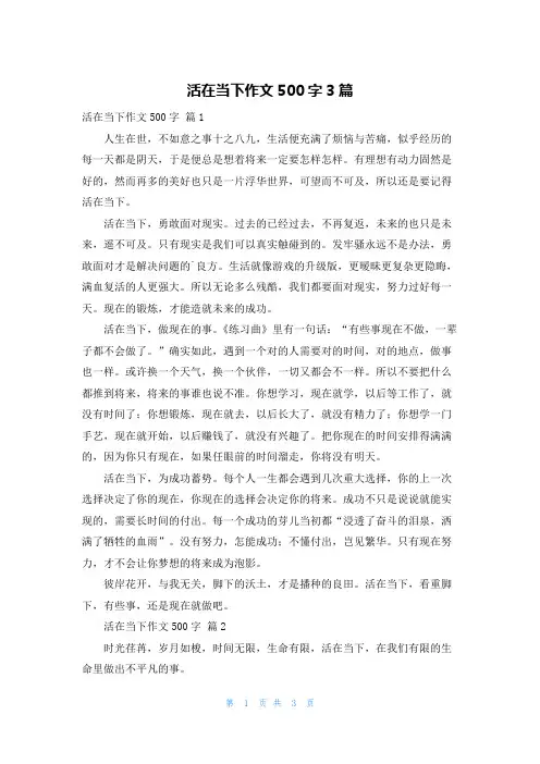 活在当下作文500字3篇