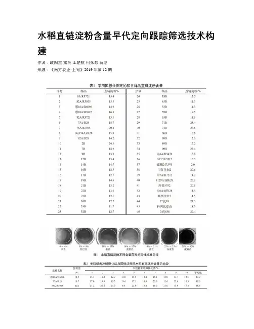 水稻直链淀粉含量早代定向跟踪筛选技术构建