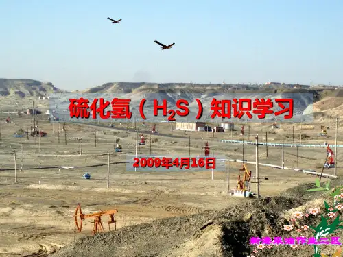 硫化氢知识学习资料