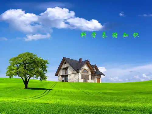 科学养猪技术t 幻灯片