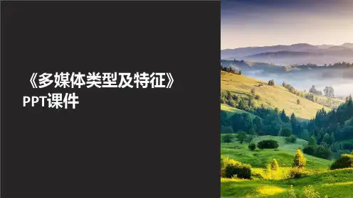 《多媒体类型及特征》课件