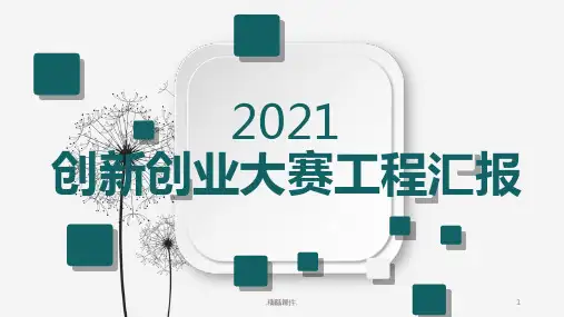 (汇总)创新创业项目汇报.ppt