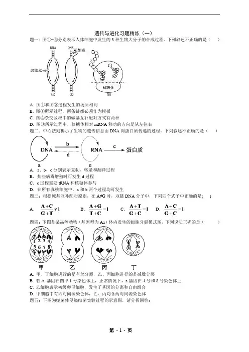 遗传与进化 考点 讲义 练习 答案