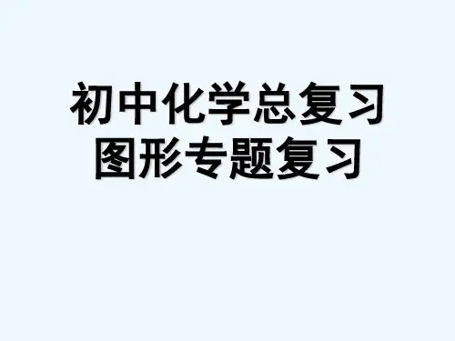初中化学图像专题复习 PPT