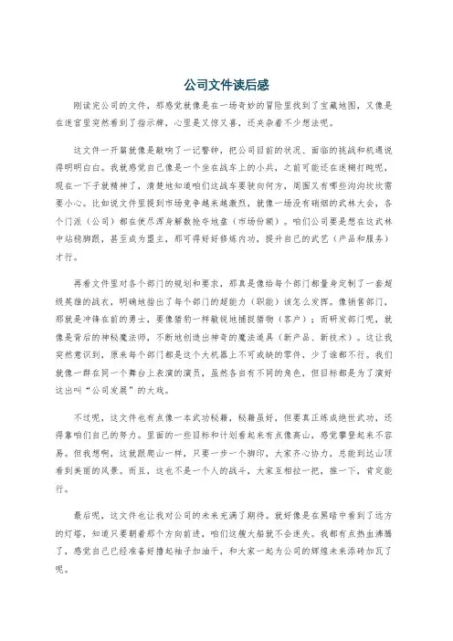 公司文件读后感