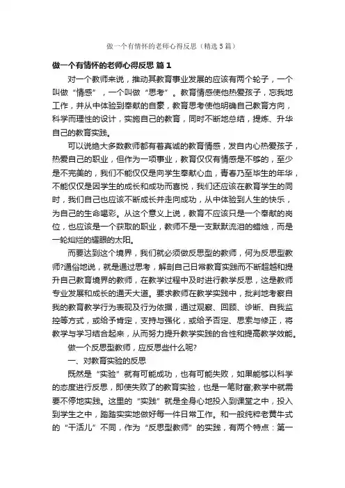做一个有情怀的老师心得反思（精选5篇）