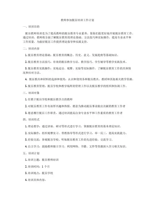 教师参加脱盲培训工作计划