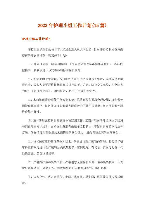 2023年护理小组工作计划(15篇)