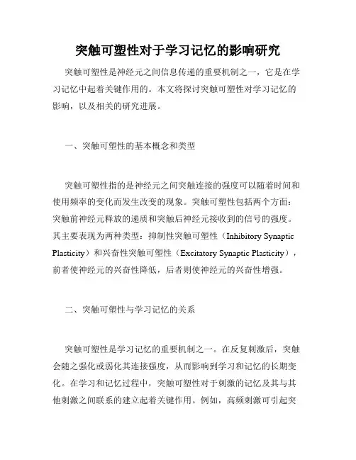 突触可塑性对于学习记忆的影响研究