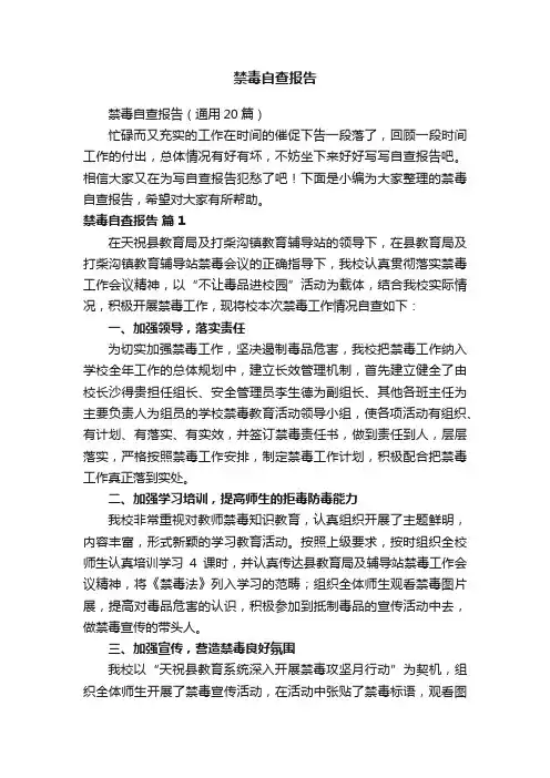 禁毒自查报告